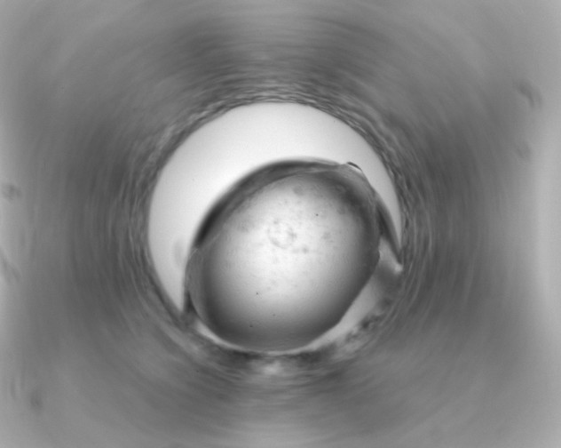 X0000090890564200708101404