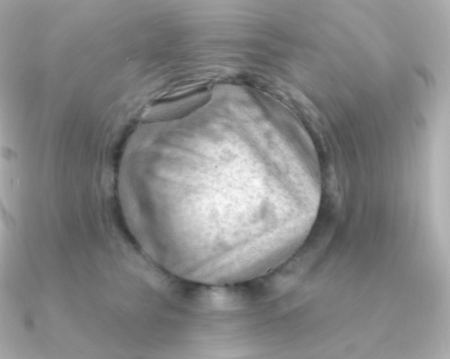 X0000090890565200708101404