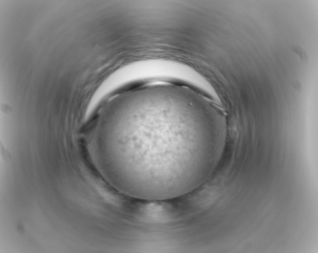 X0000090890566200708101404