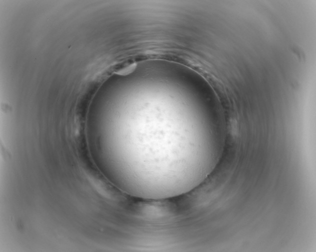 X0000090890567200708101404