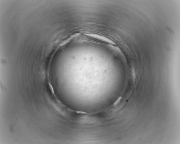 X0000090890568200708101404