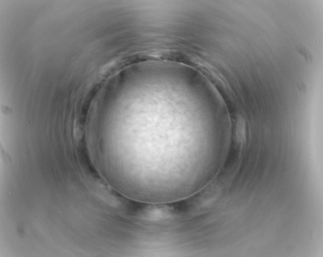 X0000090890569200708101404