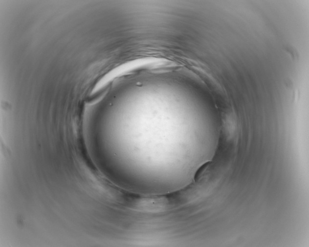 X0000090890571200708101404