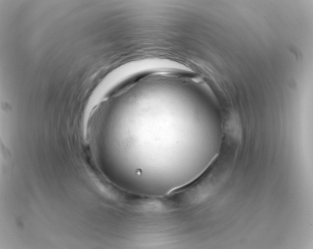 X0000090890572200708101404