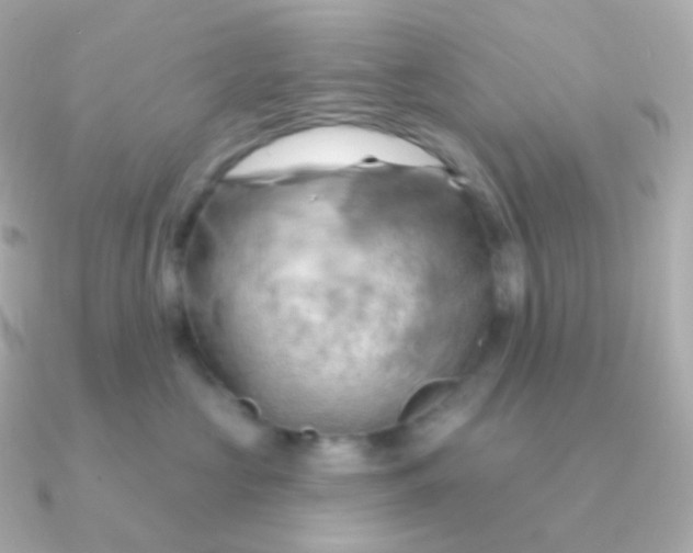 X0000090890573200708101404