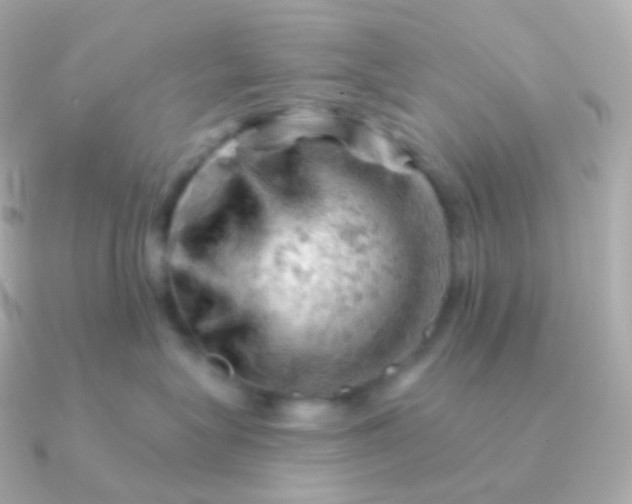 X0000090890575200708101404