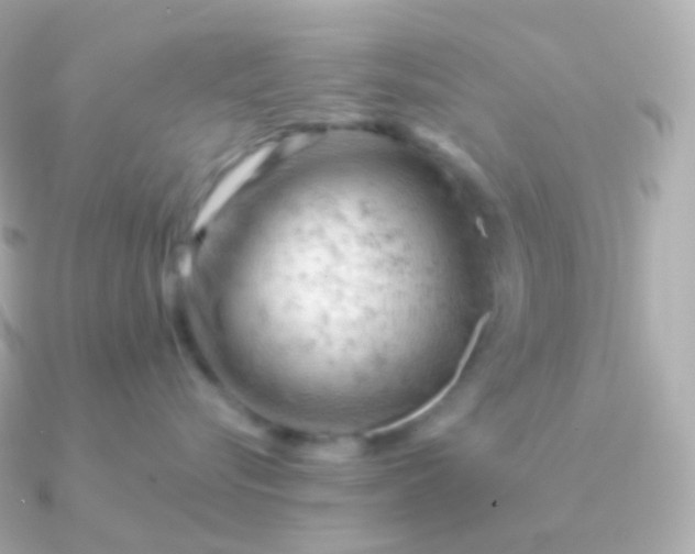 X0000090890576200708101404