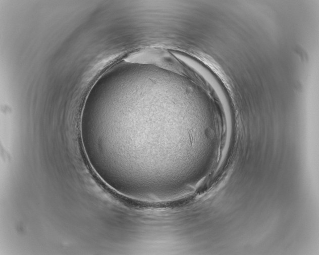 X0000090890577200708101404