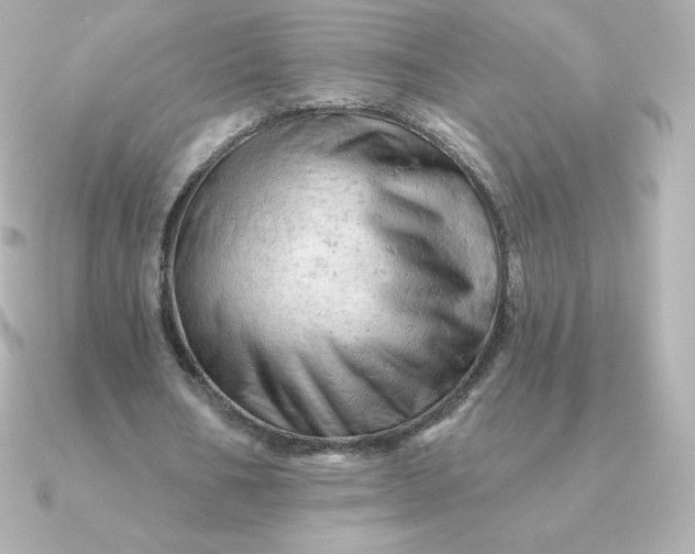 X0000090890578200708101404