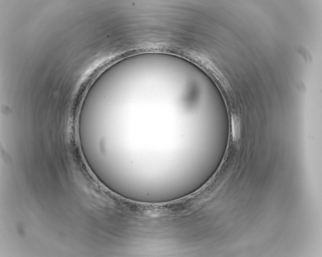 X0000090890579200708101404