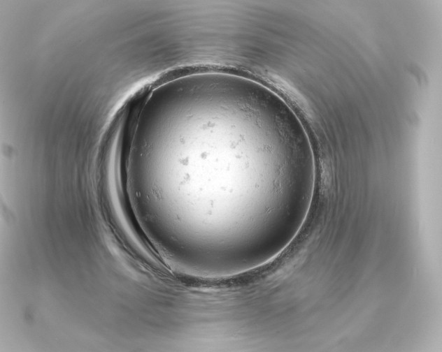 X0000090890580200708101404