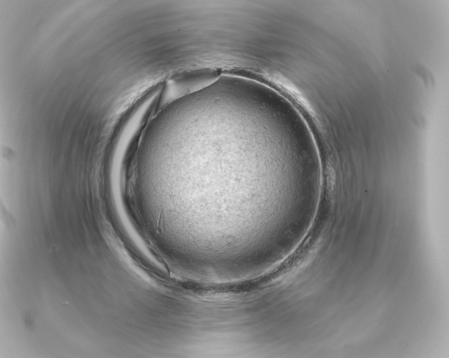 X0000090890581200708101404