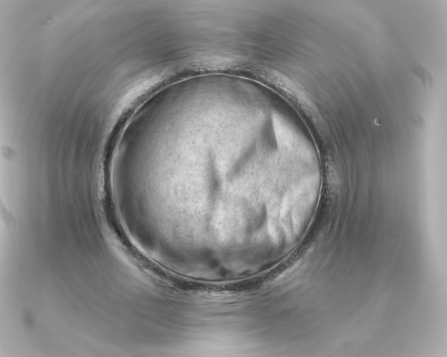 X0000090890582200708101404