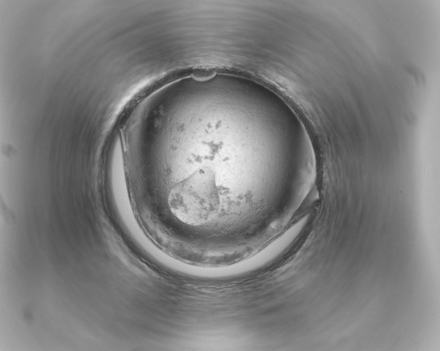 X0000090890584200708101404