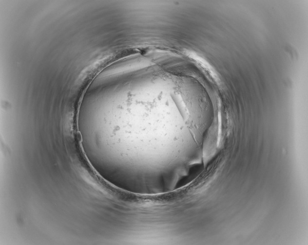 X0000090890585200708101404