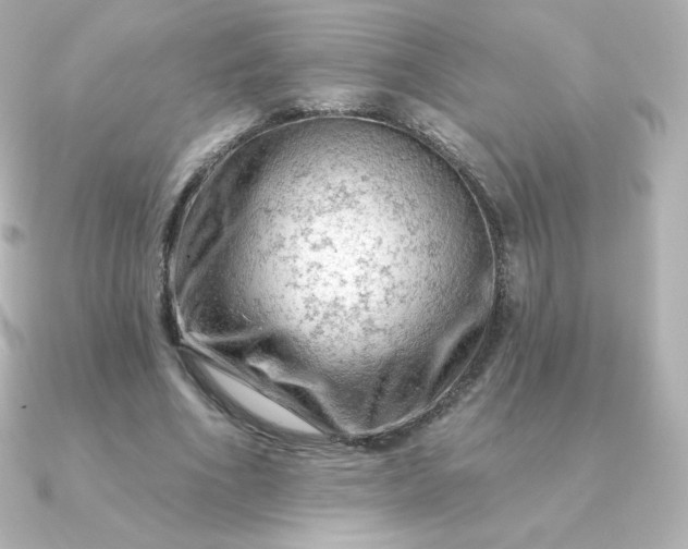 X0000090890586200708101404