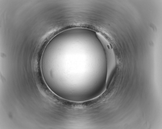 X0000090890587200708101404