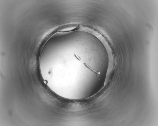 X0000090890588200708101404