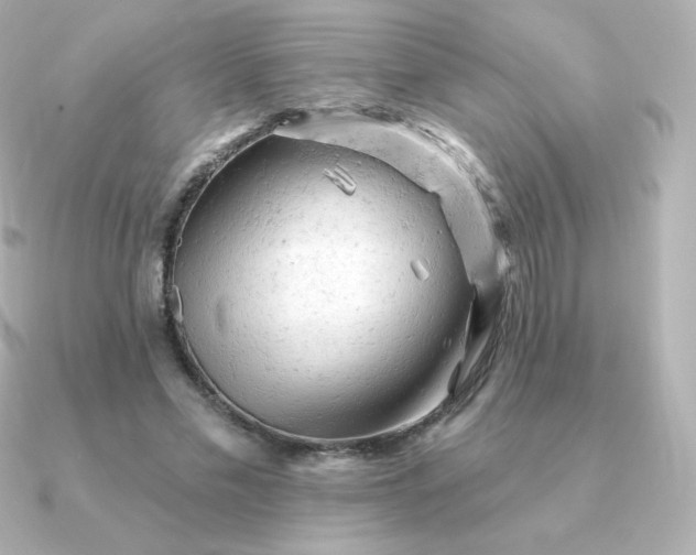 X0000090890589200708101404