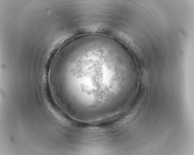 X0000090890590200708101404