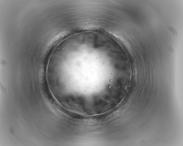 X0000090890591200708101404