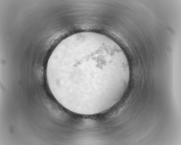 X0000090890592200708101404