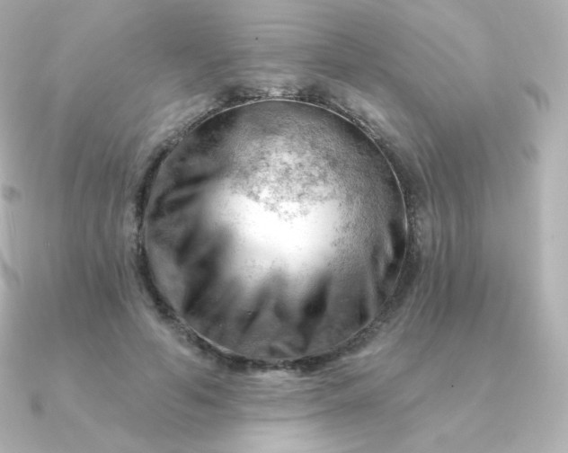 X0000090890594200708101404