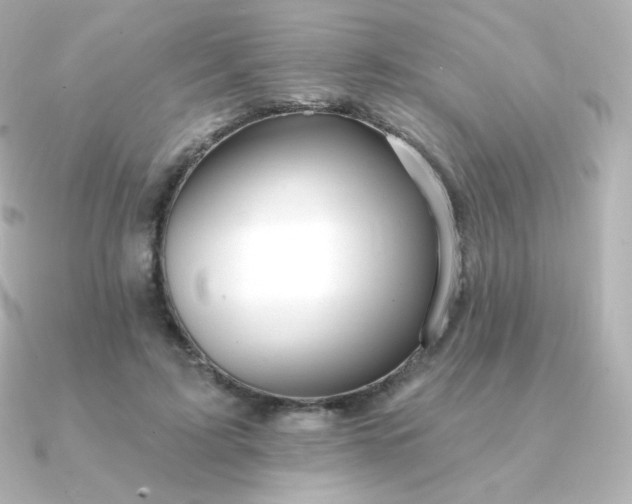 X0000090890595200708101404