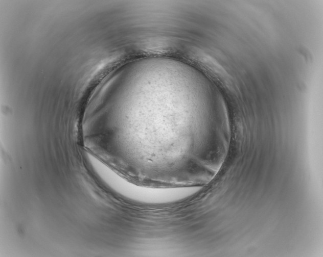 X0000090890596200708101404