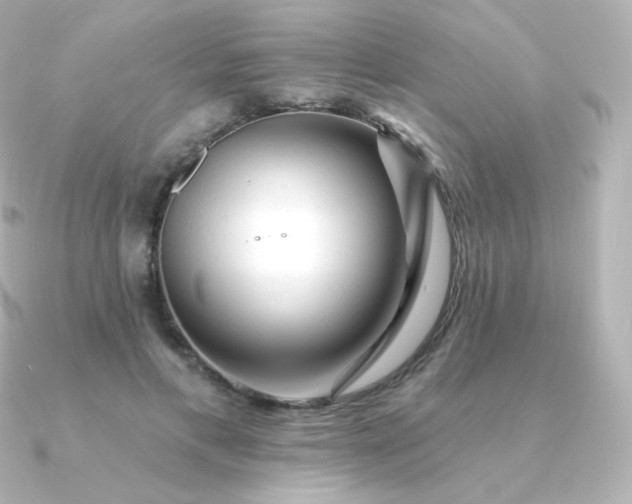 X0000090890597200708101404