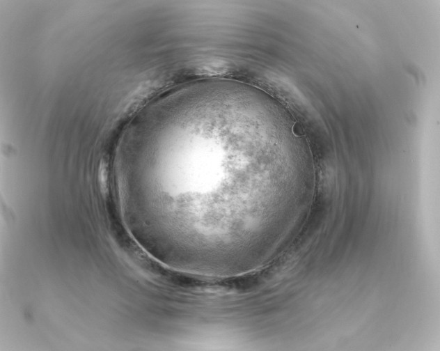 X0000090890598200708101404