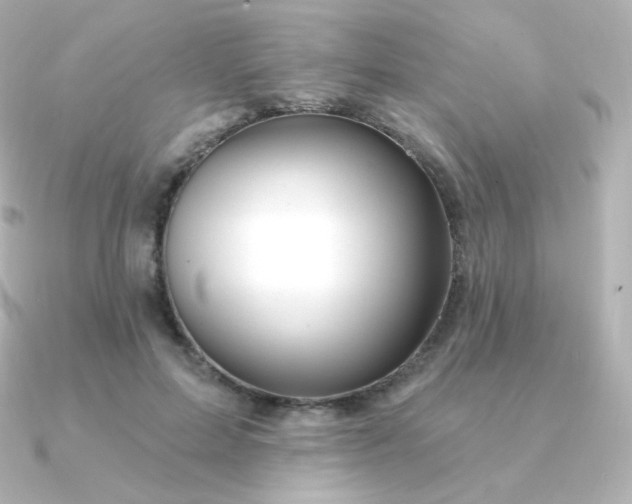 X0000090890599200708101404