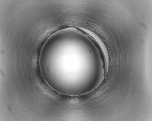 X0000090890600200708101404