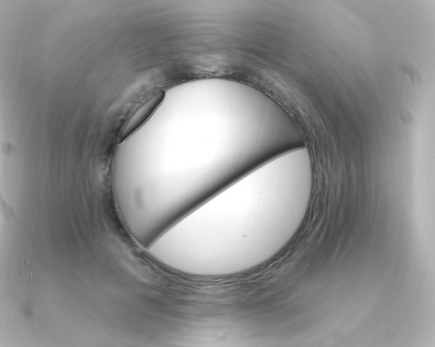 X0000090890601200708101404