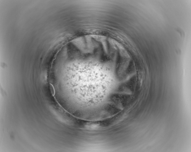 X0000090890602200708101404