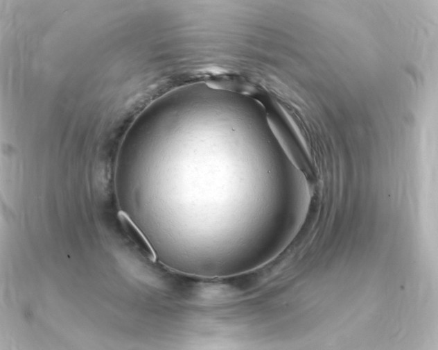 X0000090890605200708101403