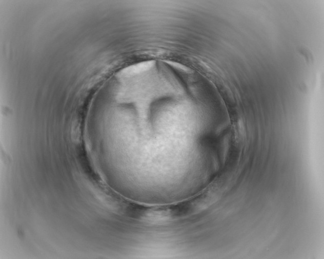 X0000090890606200708101403