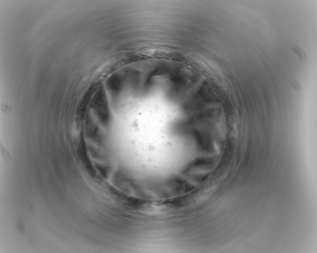 X0000090890607200708101403