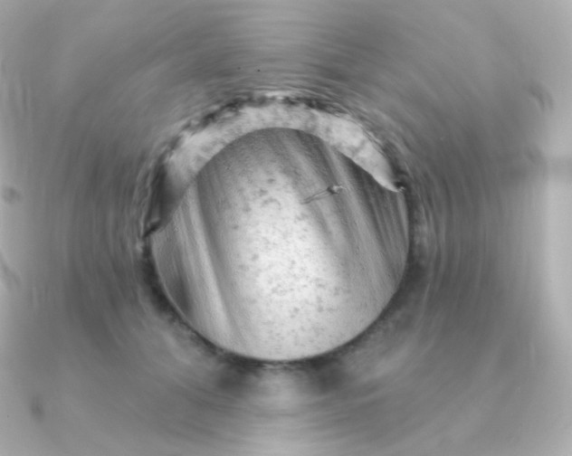 X0000090890608200708101403