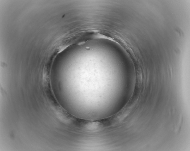 X0000090890609200708101403