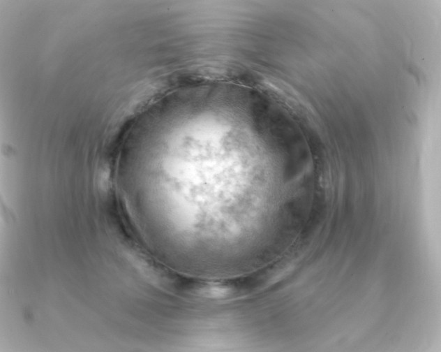 X0000090890610200708101403