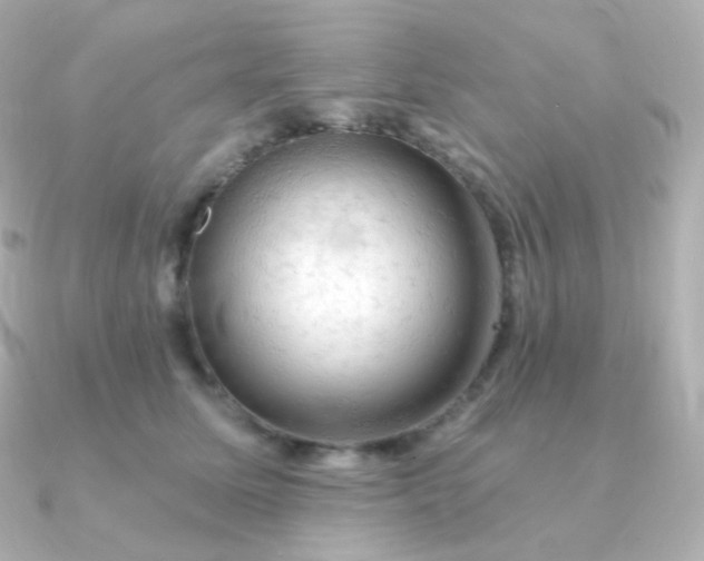 X0000090890611200708101403