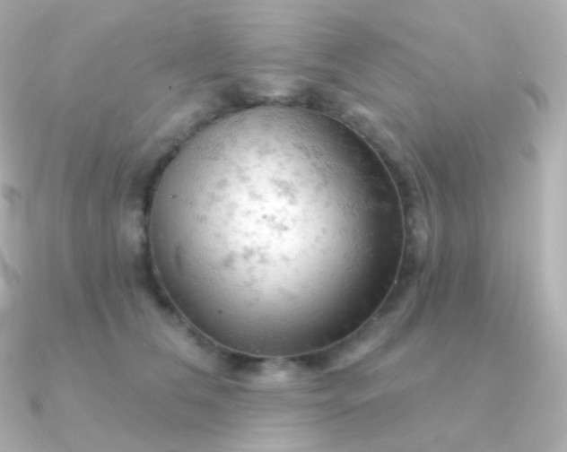 X0000090890612200708101403