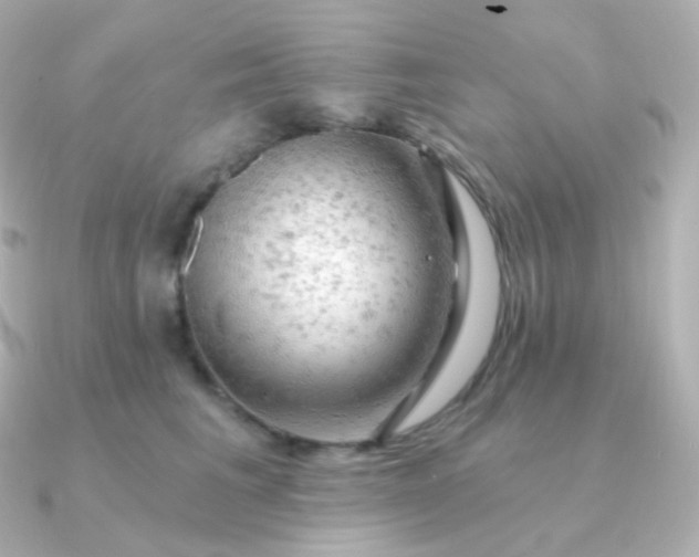 X0000090890613200708101403