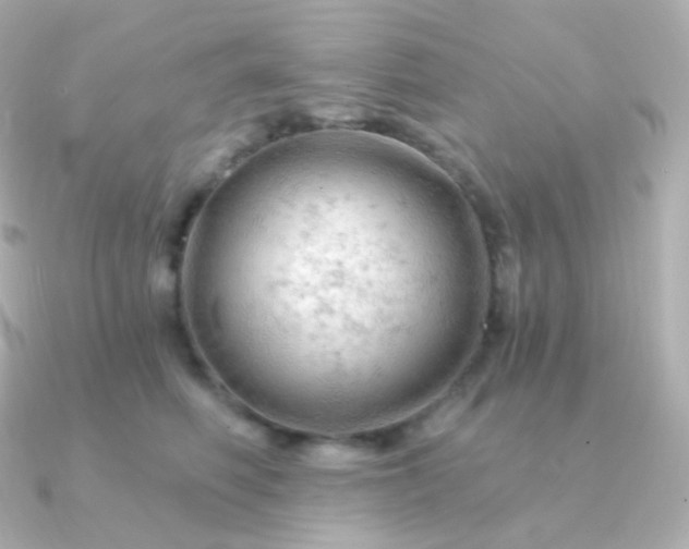 X0000090890614200708101403