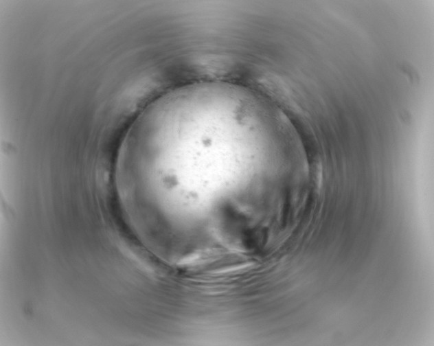 X0000090890615200708101403