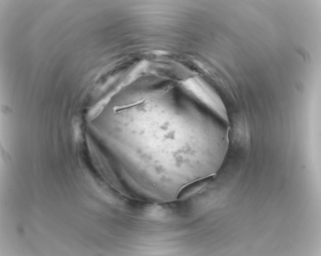 X0000090890616200708101403