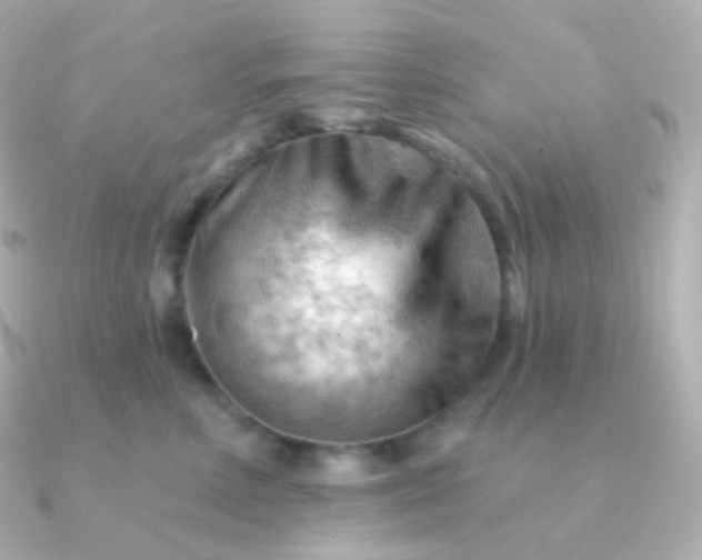 X0000090890618200708101403