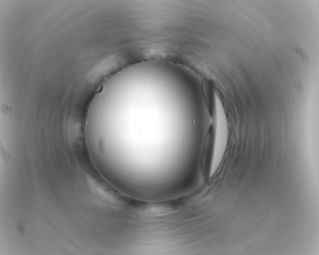 X0000090890619200708101403