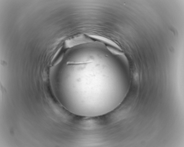 X0000090890620200708101403